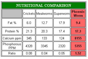 reptiworm nutrition